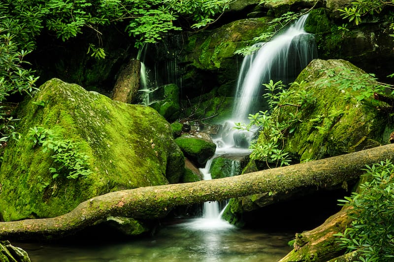 Great Smoky Mountains National Park spring