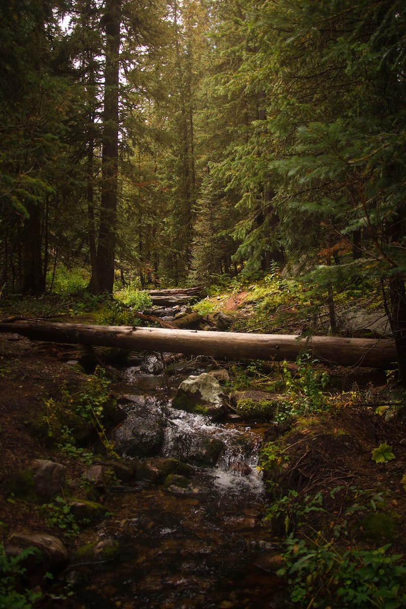 Hiking in Santa Fe 