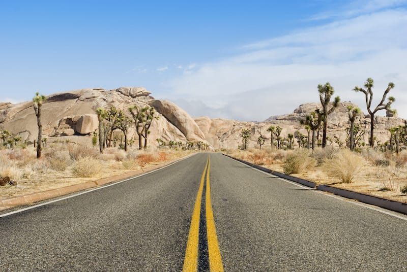 Joshua Tree National Park in April