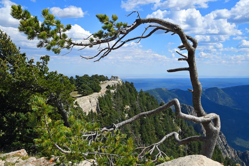 La Luz Trail