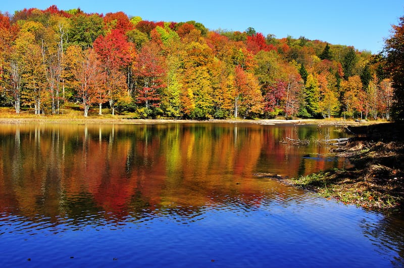 Monongahela National Forest