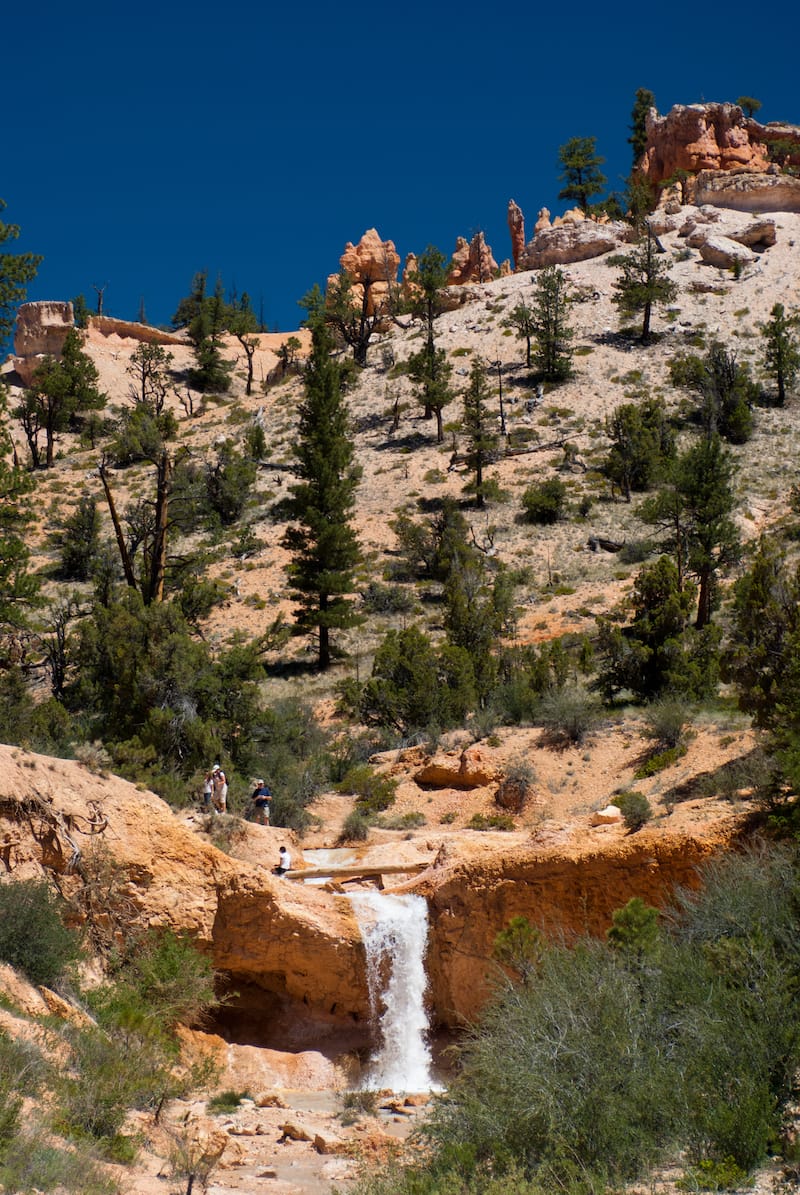 Mossy Cave Trail in Bryce Canyon National Park