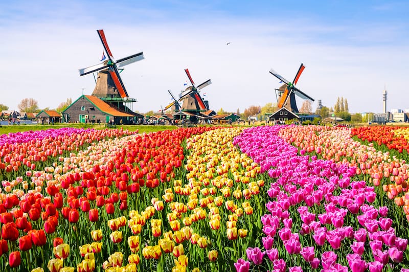 Netherlands in April