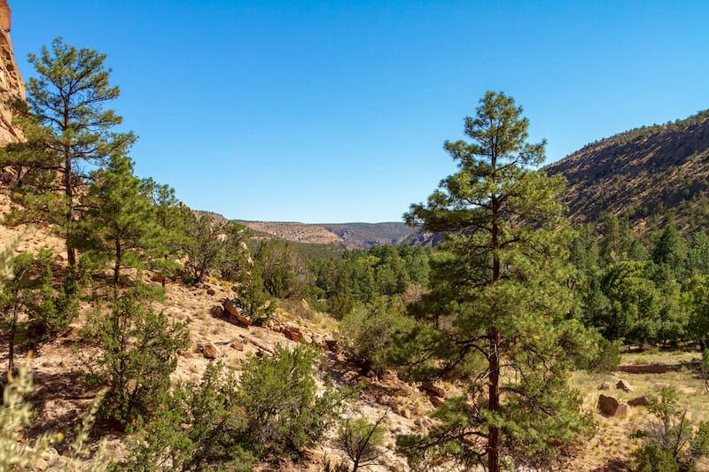 Pino Trail in Albuquerque NM