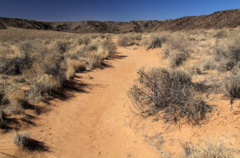 Rinconada Trail, Petroglyph National Monument, New Mexico