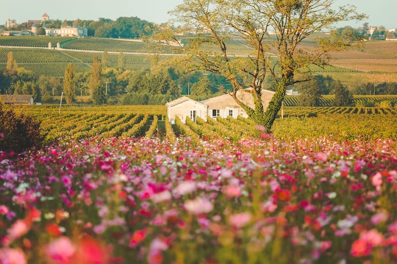 Saint-Émilion - Places to visit in South France 1