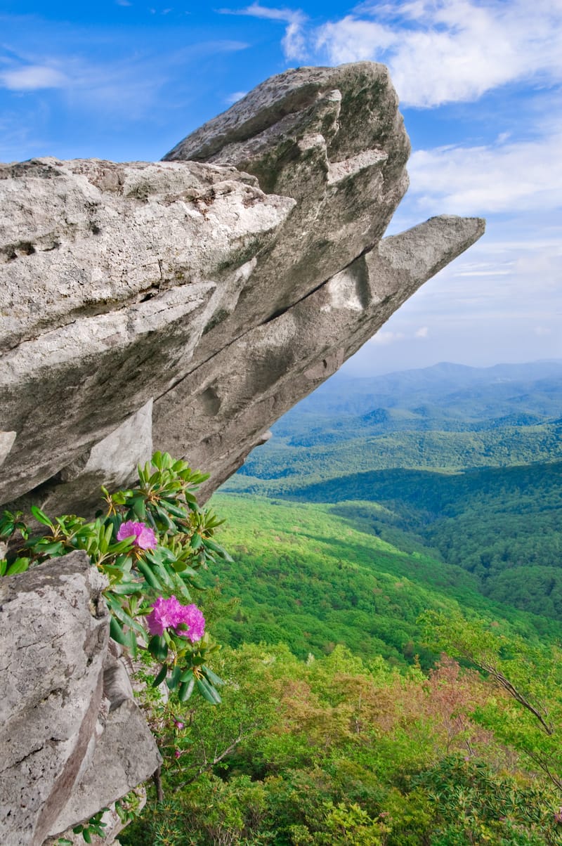 Shenandoah National Park spring