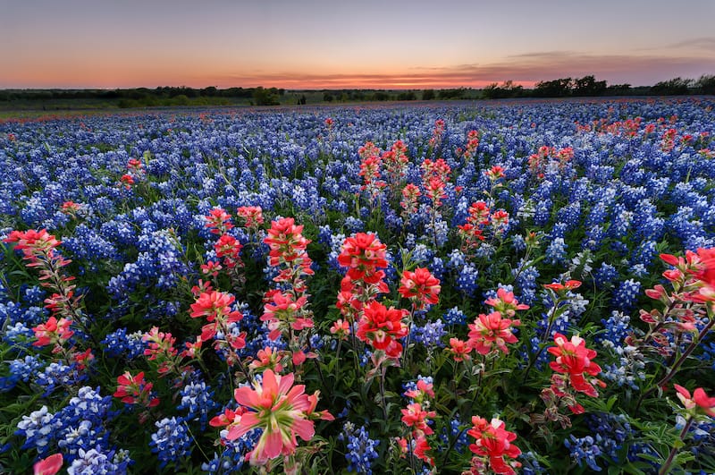 Texas Hill Country in Spring
