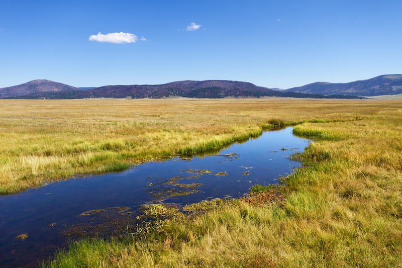 Valles Caldera National Preserve