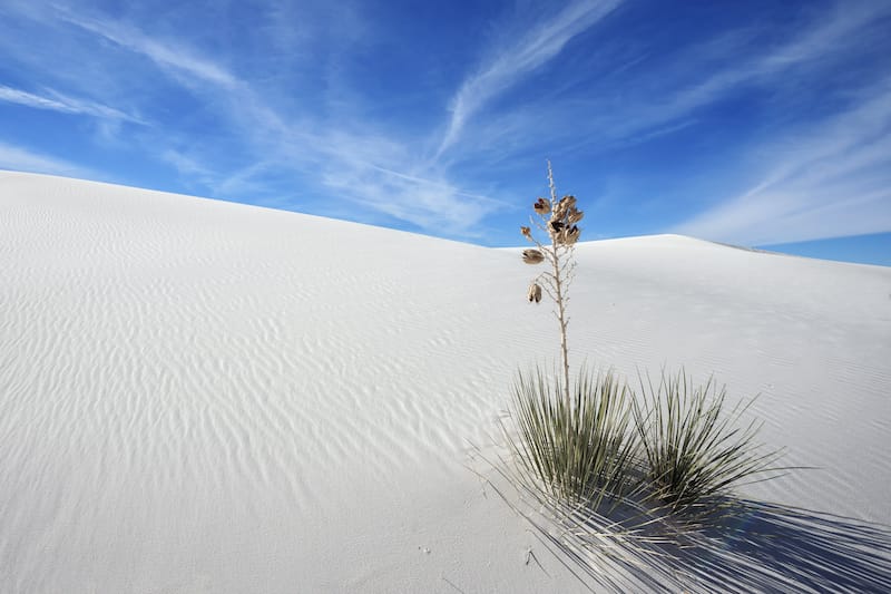 White Sands National Park