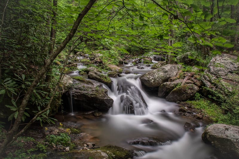 Anna Ruby Falls in Georgia