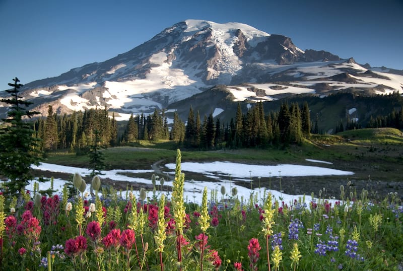 Cabins near Mt. Rainier - best Airbnbs and Rentals