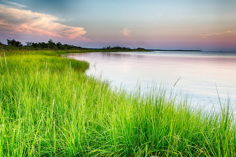 Cape Fear River