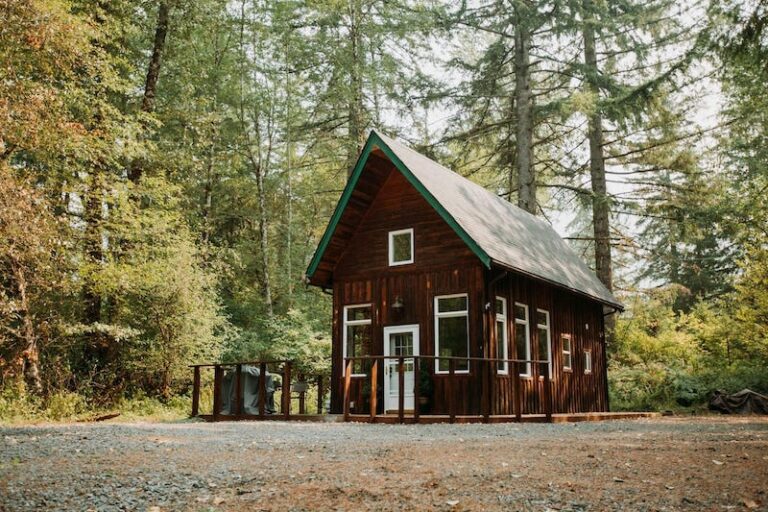 12 Cozy Cabins near Mt. Rainier (+ Airbnbs with Hot Tubs!)