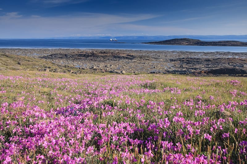 Iqaluit Nunavut