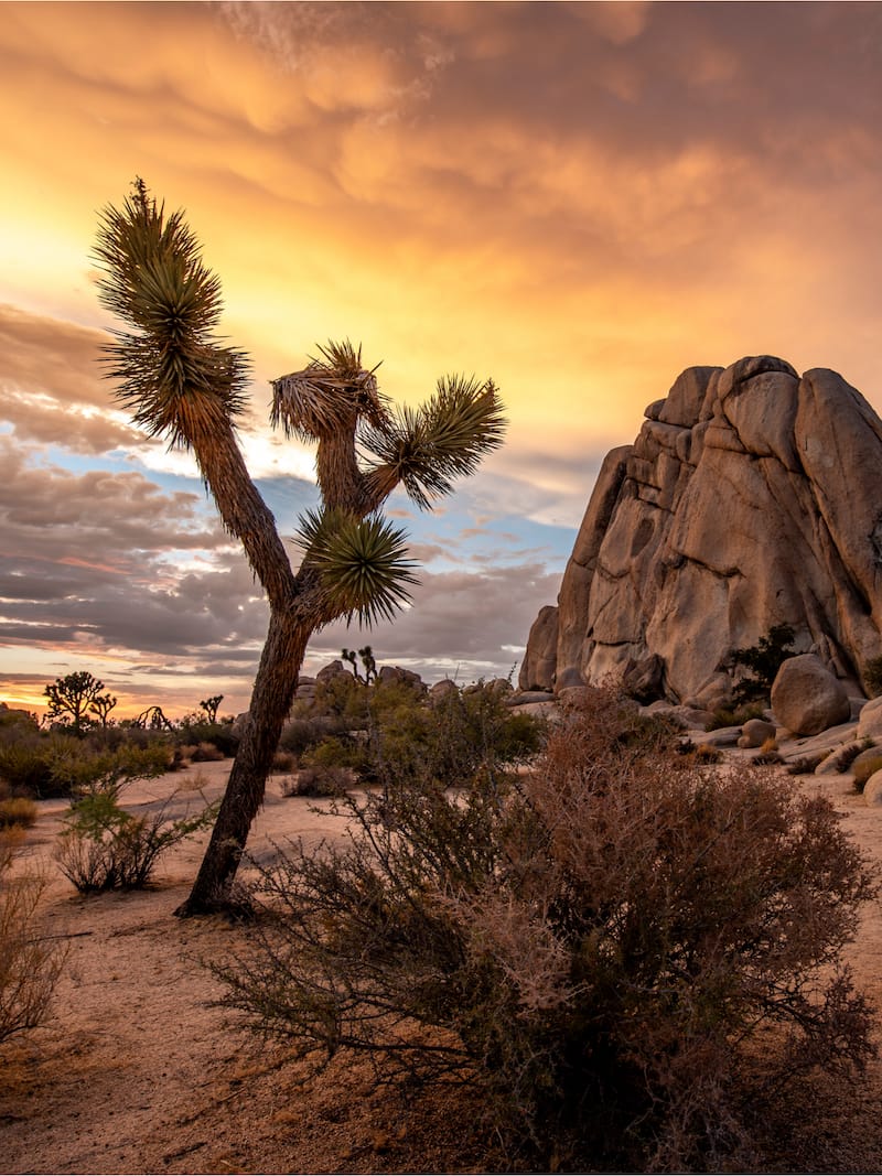 9 Best Hikes Joshua Tree • Megan Starr Scandinavia Travel Blog