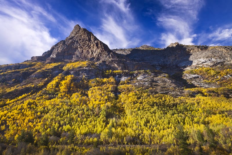 Lamoille Canyon