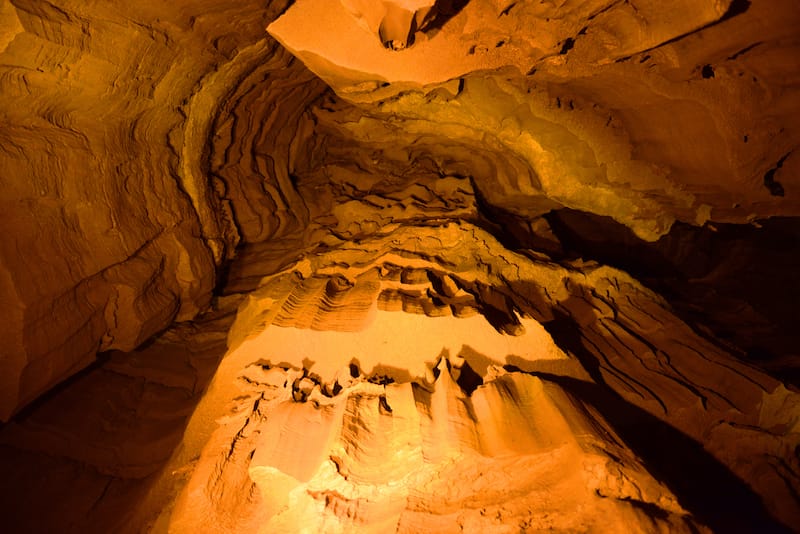 Mammoth Cave National Park in May