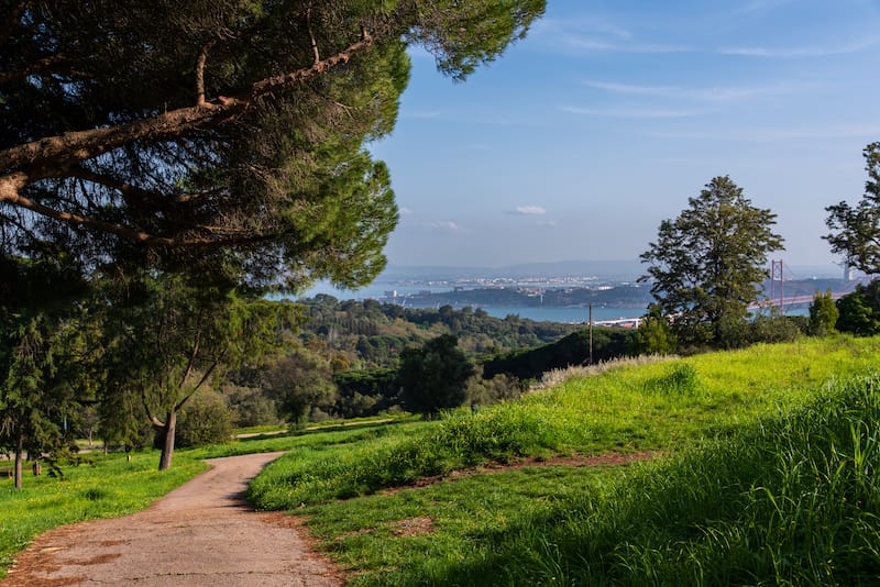 Monsanto Park in Lisbon