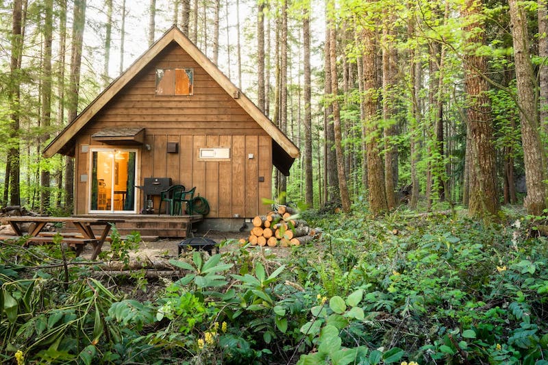 Mt Rainier Cabin WiFi, Hot Tub, Near National Park 2