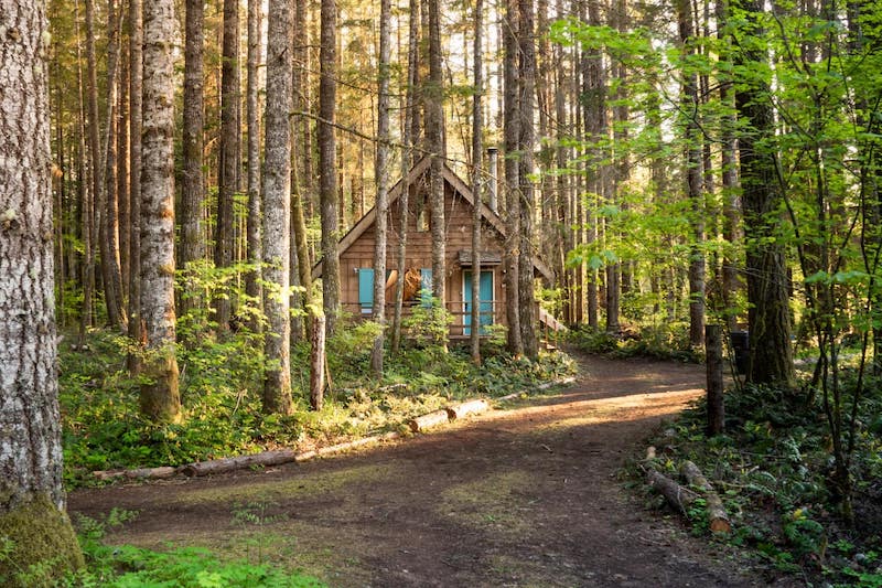 Mt Rainier Cabin WiFi, Hot Tub, Near National Park 2