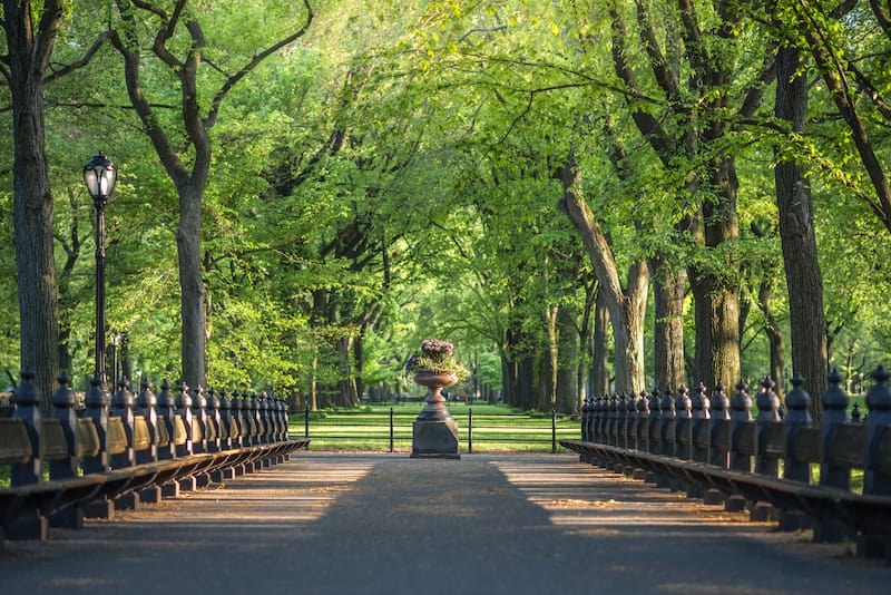 New York City in May