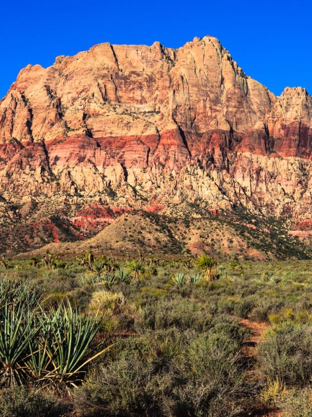 7 Beautiful Places in Nevada (Beyond Vegas!)