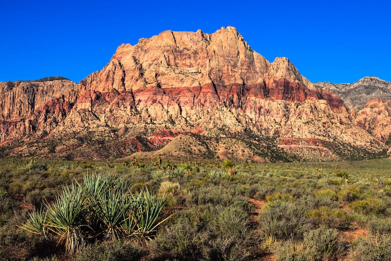 Red Rock National Conservation Area, Nevada