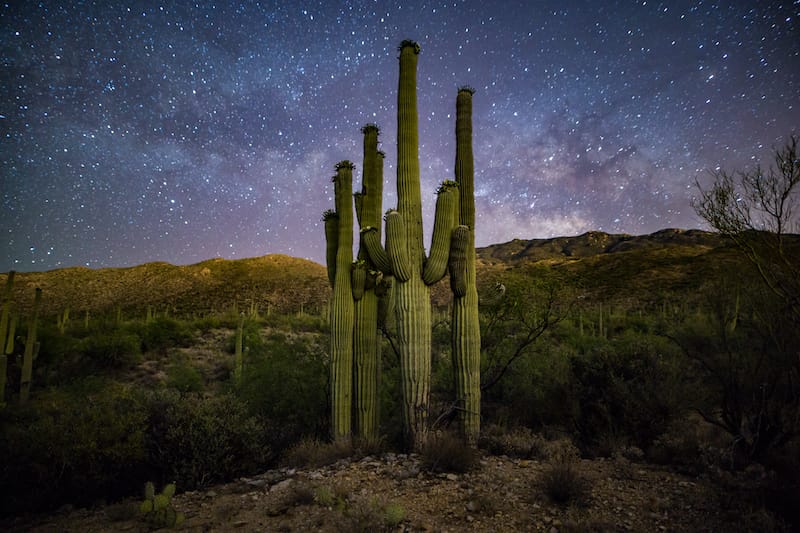 Saguaro National Park stargazing