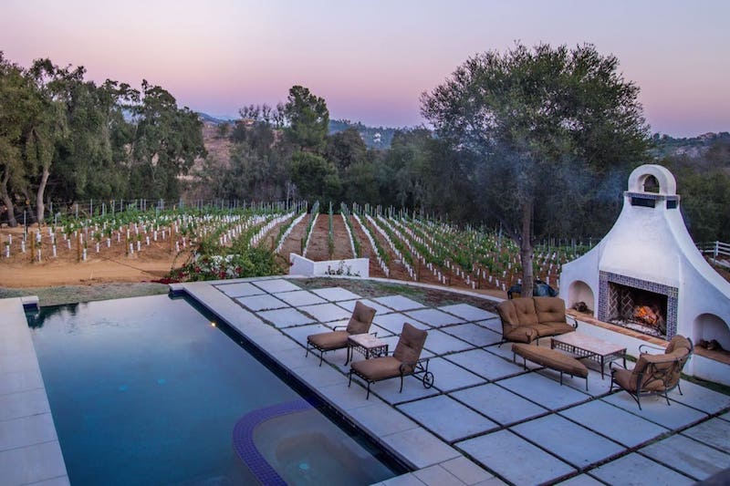 Secluded Vineyard (Budget Option!)