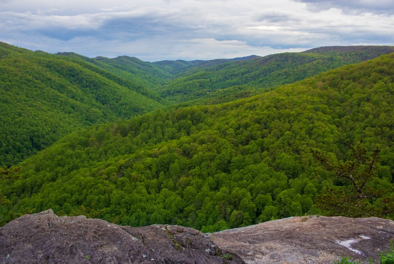 Shenandoah National Park in May