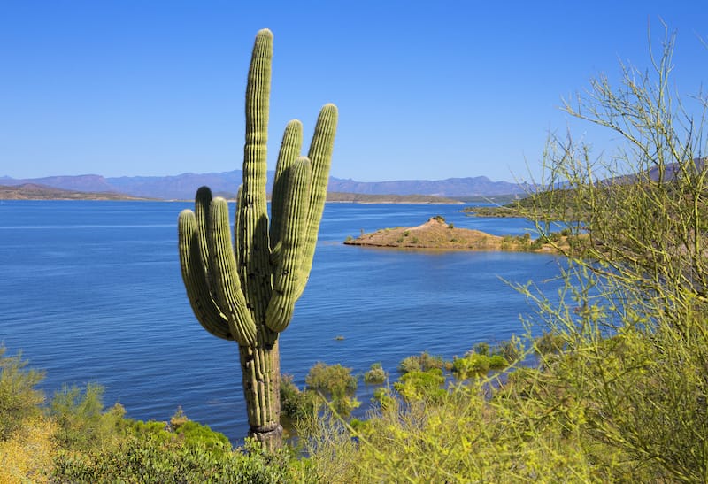 Theodore Roosevelt Lake