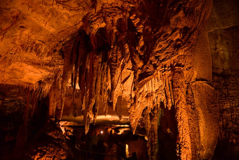 Mammoth Cave National Park in June