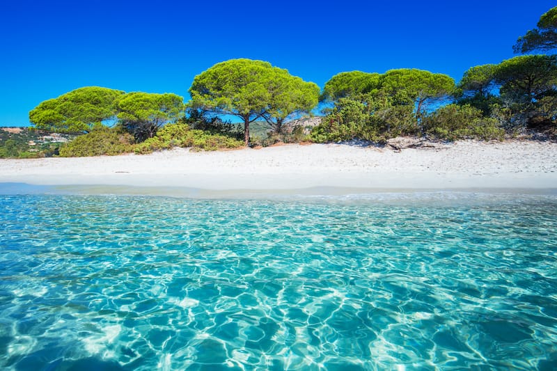 Palombaggia Beach in Corsica