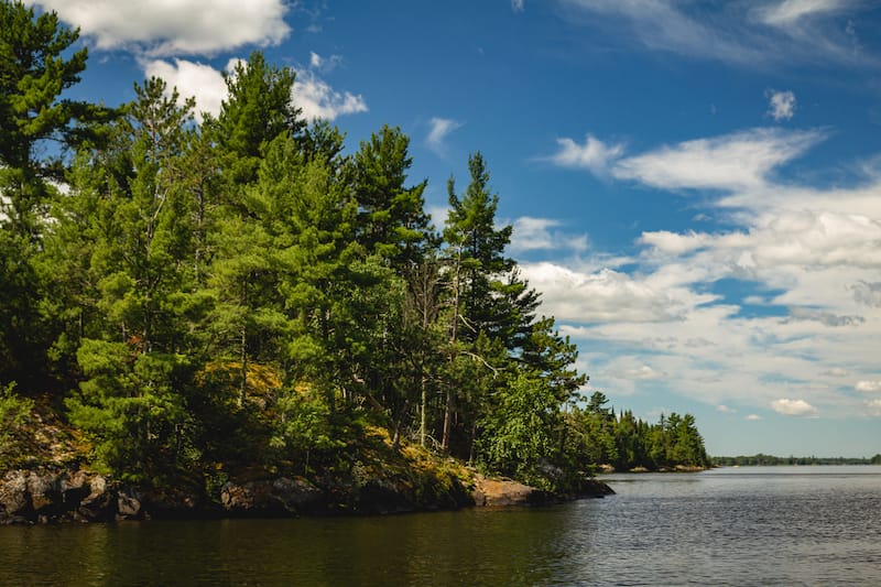 Voyageurs National Park in June