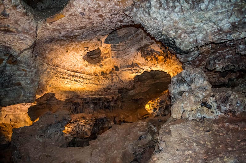 Wind Cave National Park in June