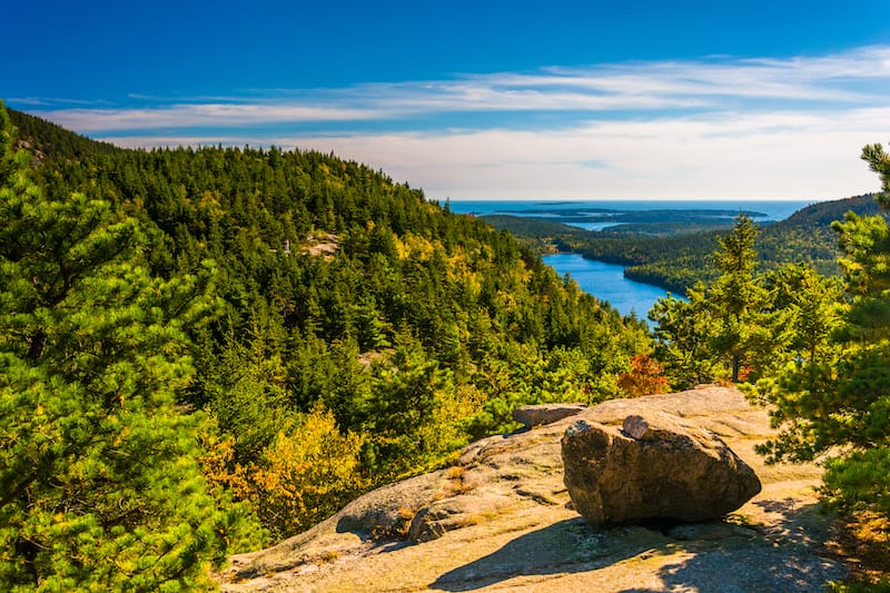 Acadia National Park in July