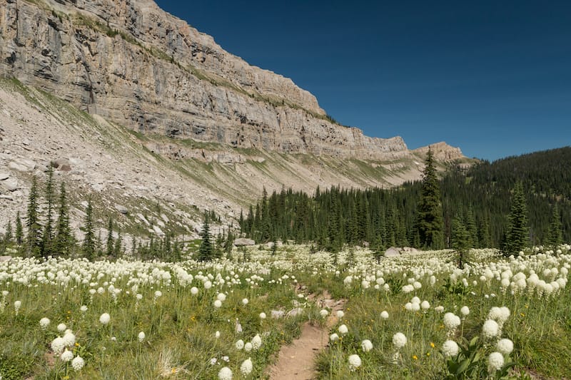 montana famous places to visit Chinese Wall in Bob Marshall Wilderness