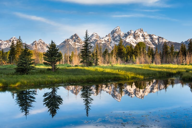 Grand Teton National Park in July