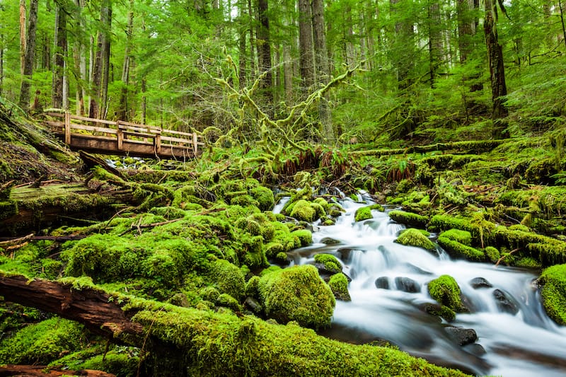 Olympic National Park