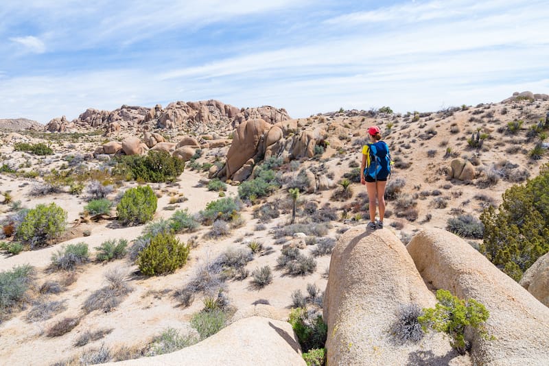 One day in Joshua Tree NP itinerary