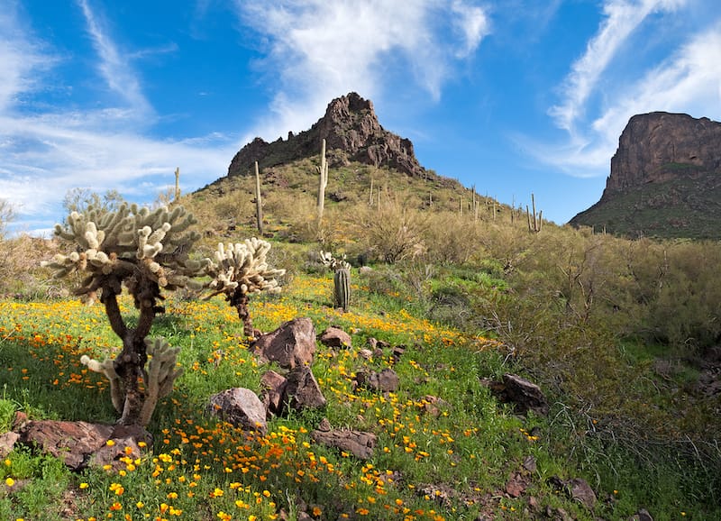 Picacho Peak State Park