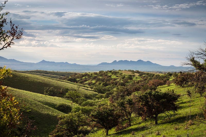 Sonoita Arizona