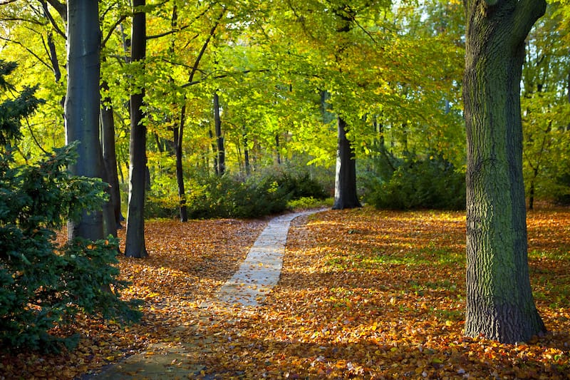 Tiergarten Berlin