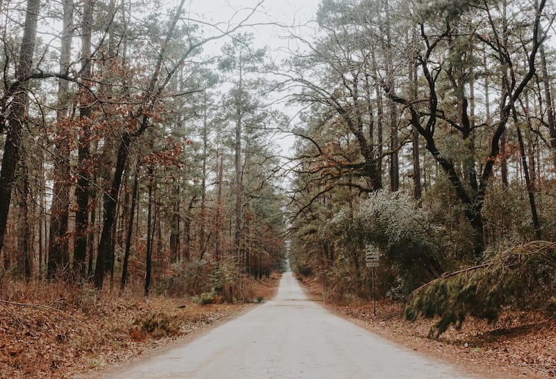 Davy Crockett National Forest