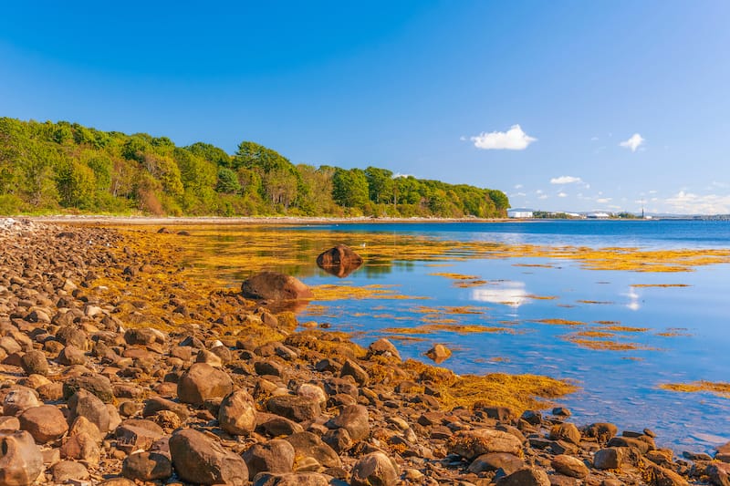 Moose Point State Park in Maine