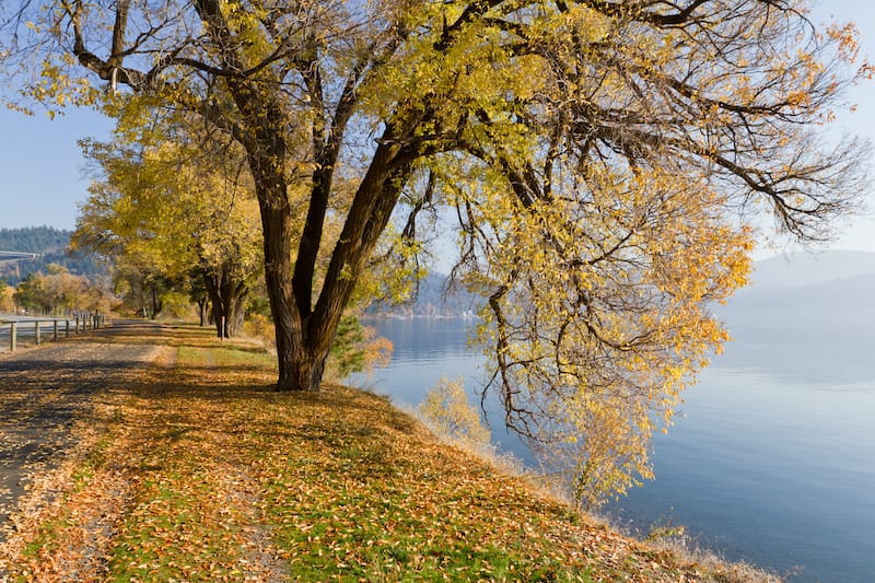 North Idaho Centennial Trail