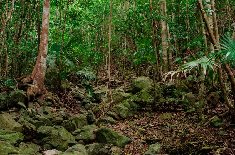 Reef Bay hiking trail