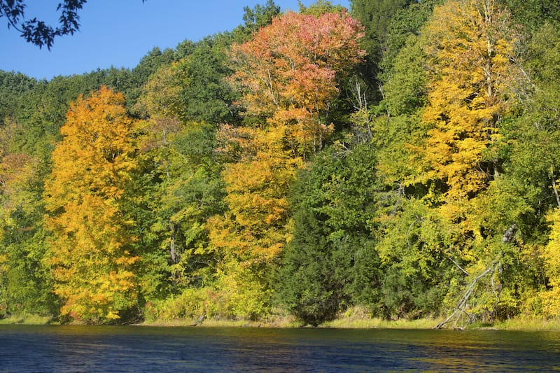 Robinson State Park in Massachusetts