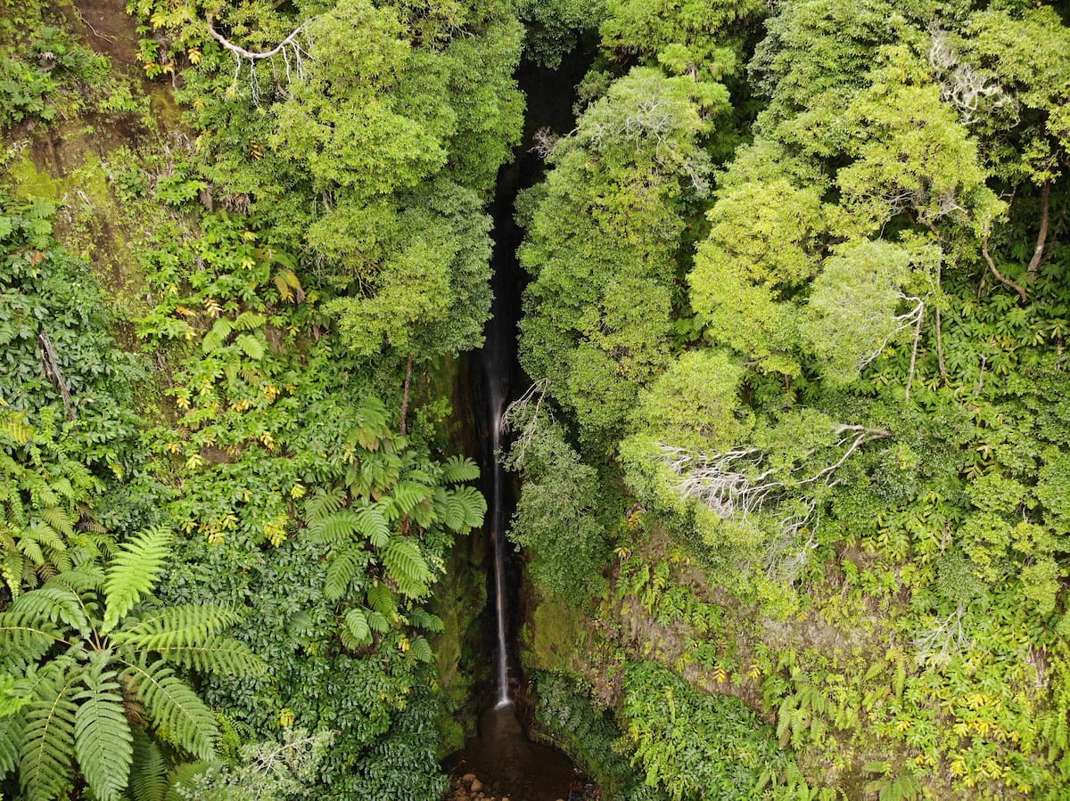 Salto do Rosal 